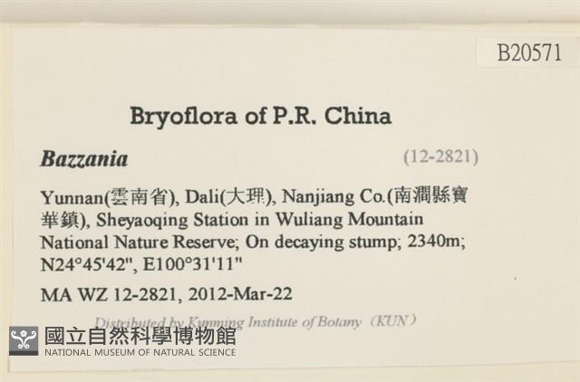 登錄號:B00020571藏品圖，第2張