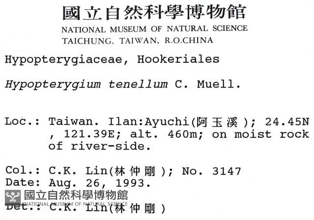 南亞孔雀蘚藏品圖，第2張