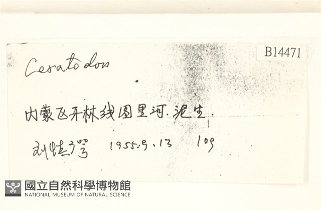 登錄號:B00014471藏品圖，第2張