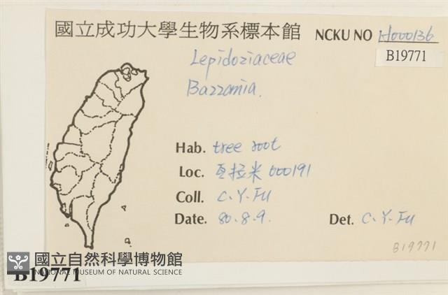 登錄號:B00019771藏品圖，第2張