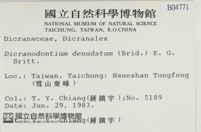 青毛苔藏品圖，第2張