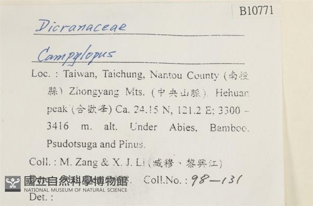 登錄號:B00010771藏品圖，第2張