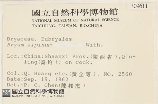 高山真蘚藏品圖，第2張