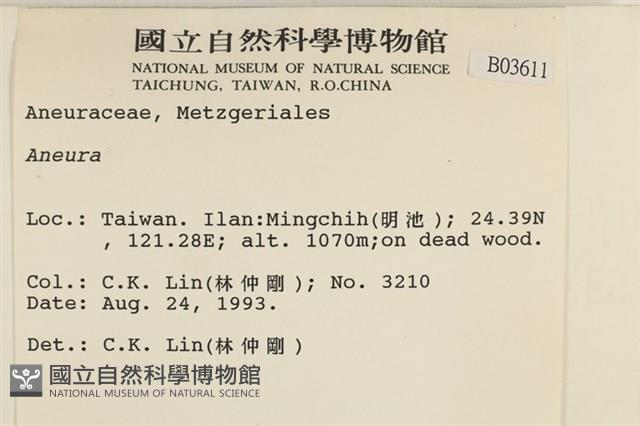 登錄號:B00003611藏品圖，第2張