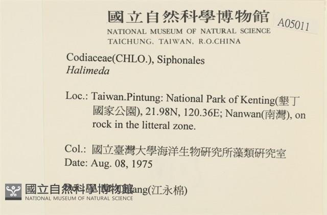 登錄號:A00005011藏品圖，第2張