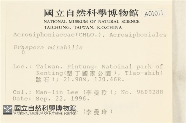 登錄號:A00001011藏品圖，第2張