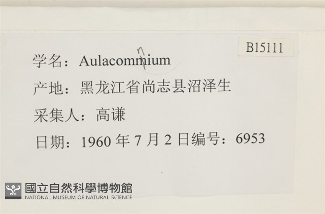 登錄號:B00015111藏品圖，第2張
