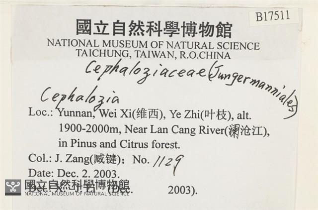登錄號:B00017511藏品圖，第2張