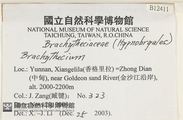 登錄號:B00012411藏品圖，第2張