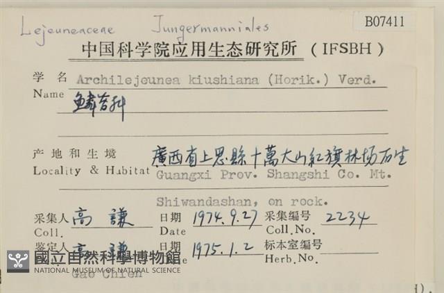 細鱗苔藏品圖，第2張