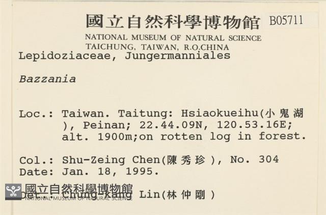 登錄號:B00005711藏品圖，第2張