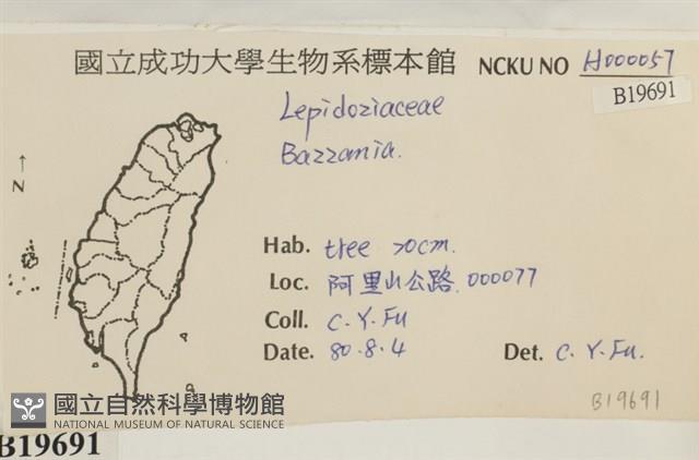 登錄號:B00019691藏品圖，第2張
