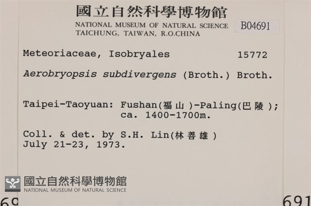 大灰氣蘚藏品圖，第2張