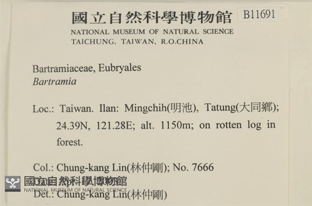 登錄號:B00011691藏品圖，第2張