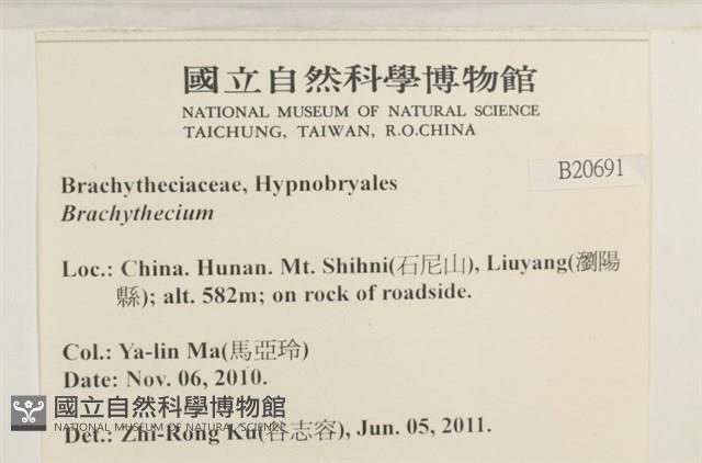 登錄號:B00020691藏品圖，第2張