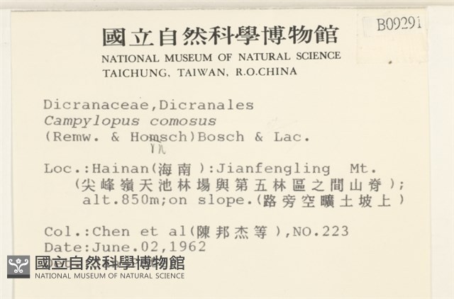 登錄號:B00009291藏品圖，第2張
