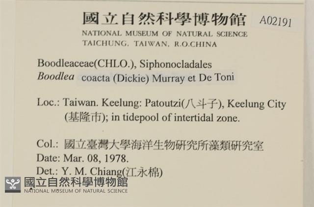 登錄號:A00002191藏品圖，第2張