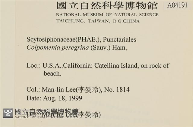登錄號:A00004191藏品圖，第2張