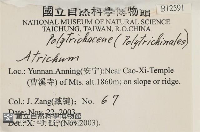 登錄號:B00012591藏品圖，第2張