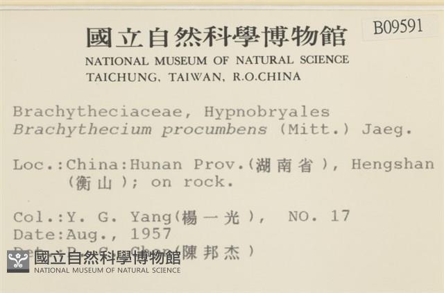 登錄號:B00009591藏品圖，第2張