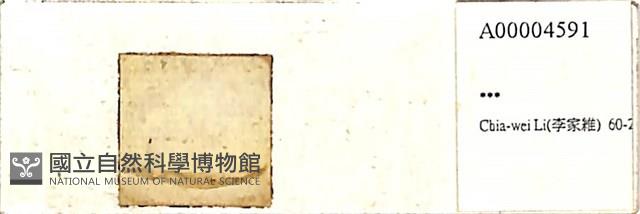 登錄號:A00004591藏品圖，第1張