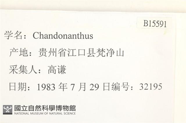 登錄號:B00015591藏品圖，第2張