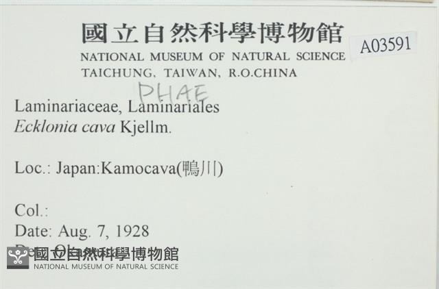 登錄號:A00003591藏品圖，第2張