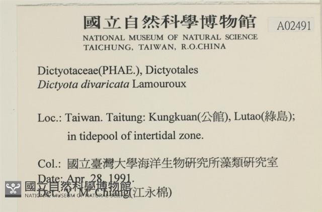 登錄號:A00002491藏品圖，第2張
