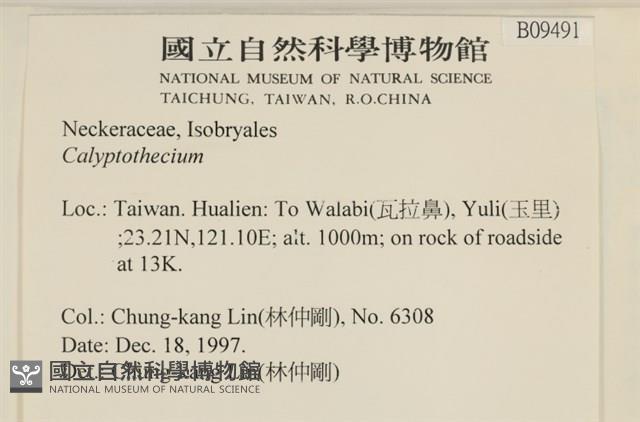 登錄號:B00009491藏品圖，第2張