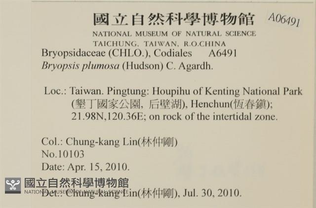 登錄號:A00006491藏品圖，第2張