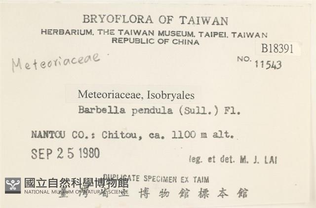 多疣懸蘚藏品圖，第2張
