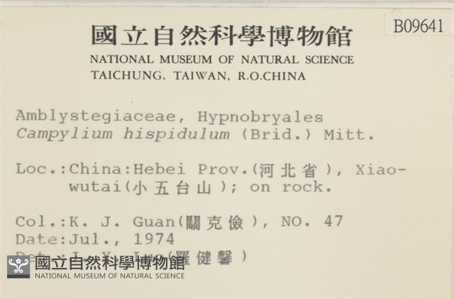 登錄號:B00009641藏品圖，第2張