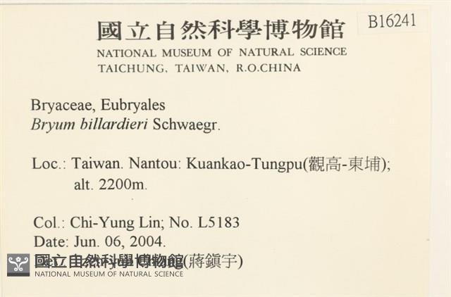 登錄號:B00016241藏品圖，第2張
