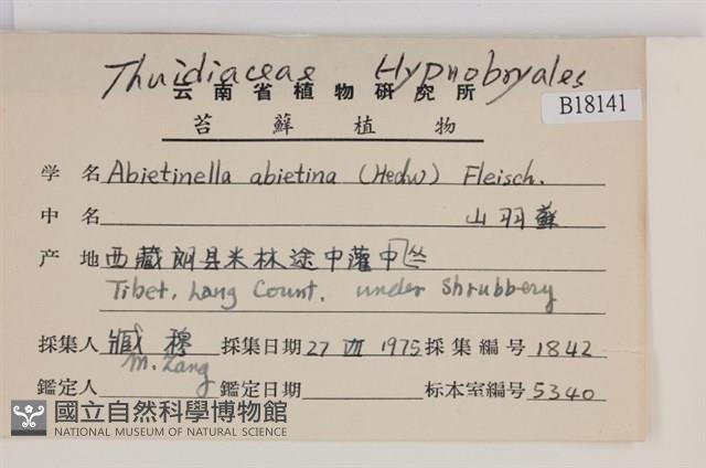 山羽蘚藏品圖，第2張