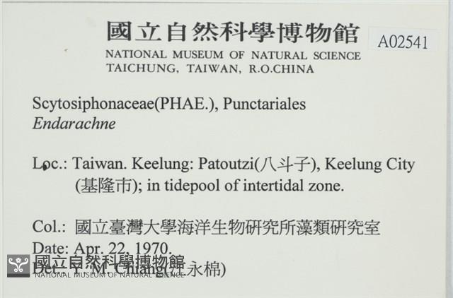 登錄號:A00002541藏品圖，第2張