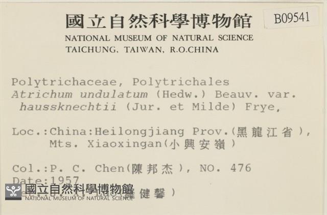 登錄號:B00009541藏品圖，第2張