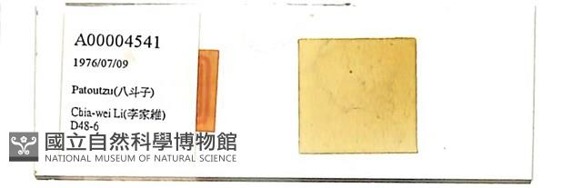 登錄號:A00004541藏品圖，第1張