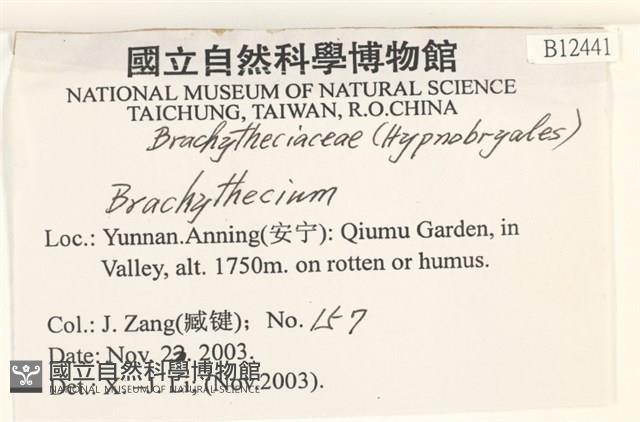 登錄號:B00012441藏品圖，第2張