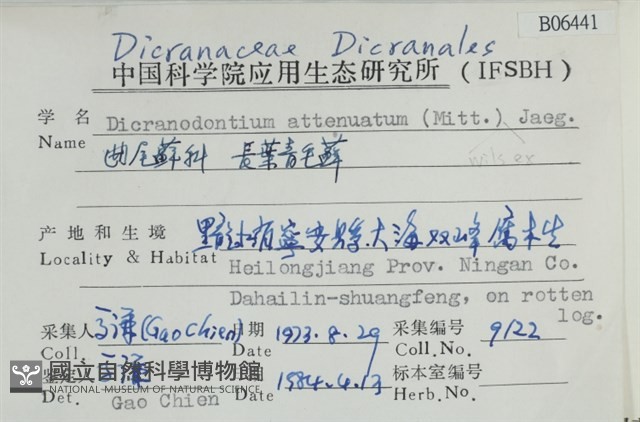 長葉青毛蘚藏品圖，第2張