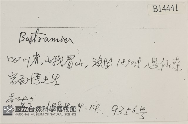 登錄號:B00014441藏品圖，第2張