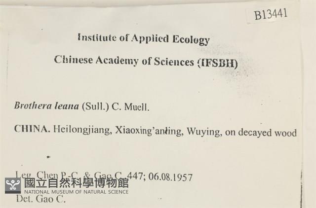 登錄號:B00013441藏品圖，第2張