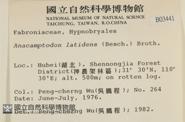 反齒蘚藏品圖，第2張