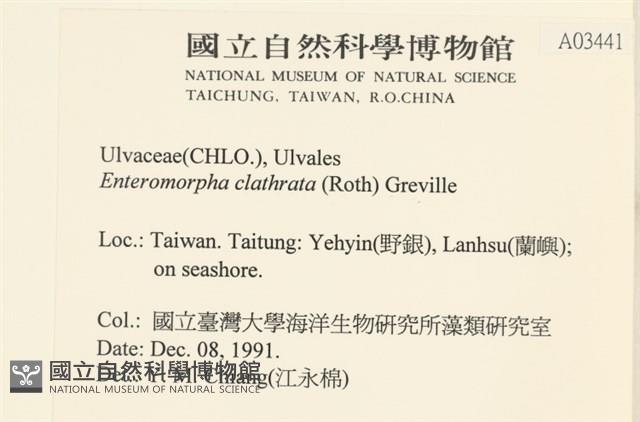 登錄號:A00003441藏品圖，第2張