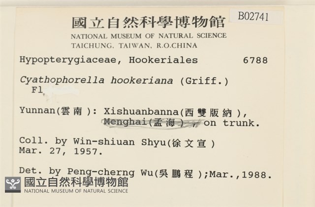 登錄號:B00002741藏品圖，第2張