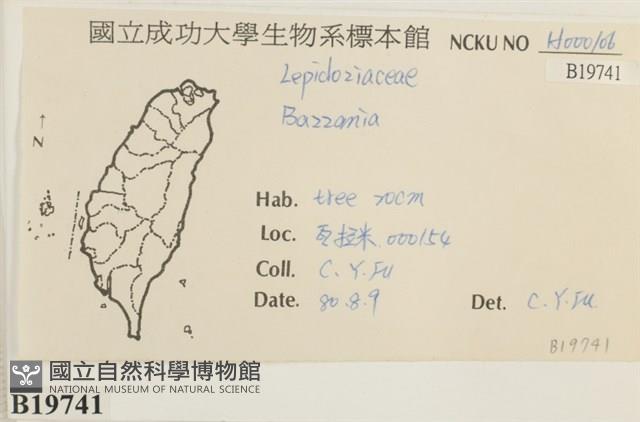 登錄號:B00019741藏品圖，第2張