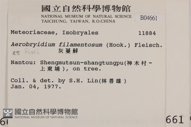 毛扭蘚藏品圖，第2張