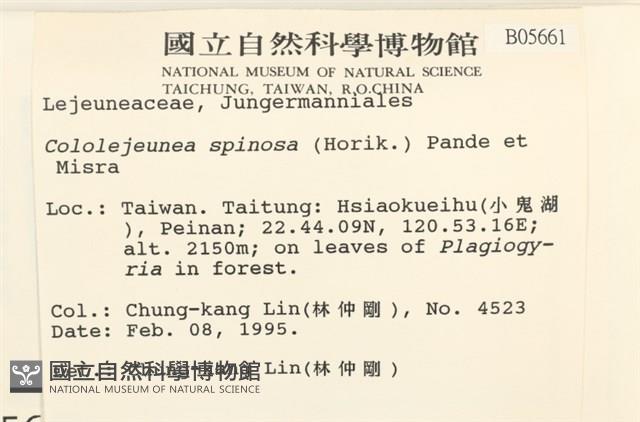 登錄號:B00005661藏品圖，第2張