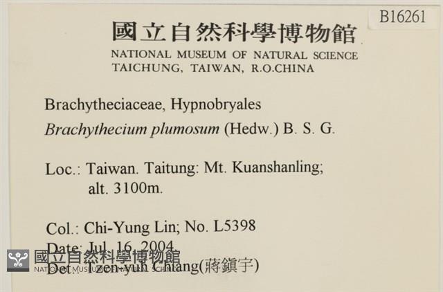 羽枝青蘚藏品圖，第2張