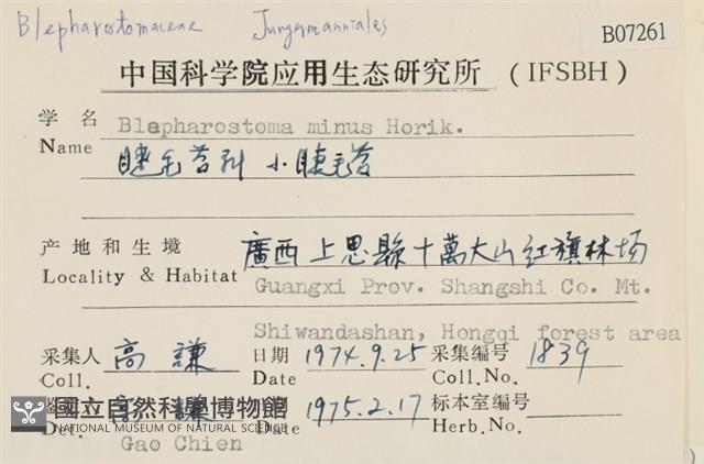 小睫毛苔藏品圖，第2張