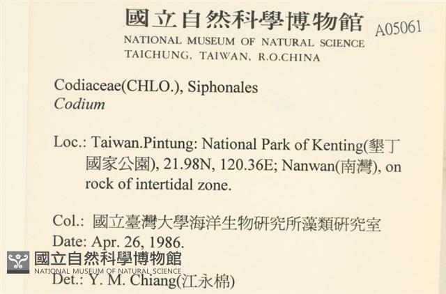 登錄號:A00005061藏品圖，第2張